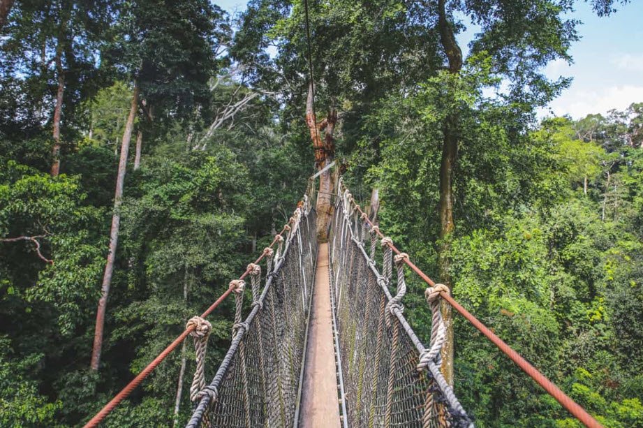 Kakum National Park